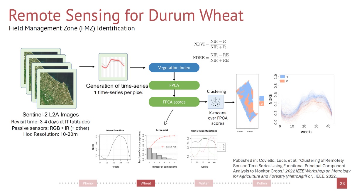 L'intelligenza artificiale è in grado di descrivere l'evoluzione di un campo di grano e di suggerire aree in cui è necessario l'intervento dell'agricoltore